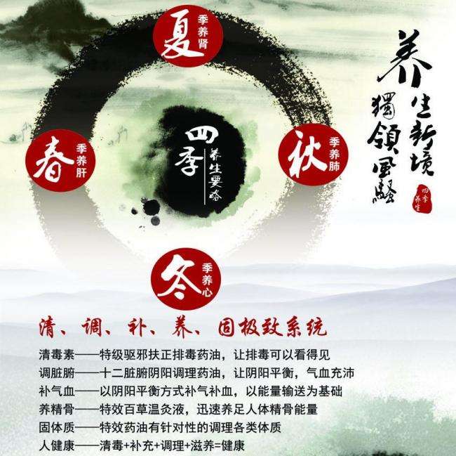 制作假的护照